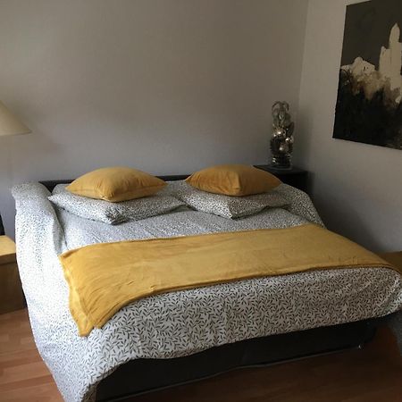 La Sinne Appartement 2 Pieces Avec Garage مُلووز المظهر الخارجي الصورة